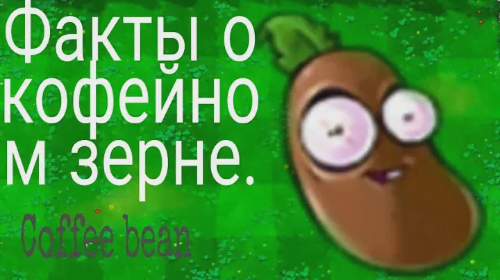 Факты о Coffee bean. Что делает Coffee bean. Кофейное зерно.