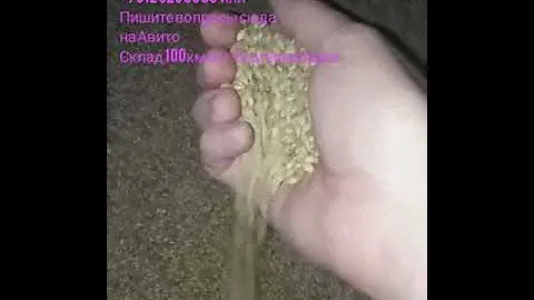 фуражное зерно, ячмень