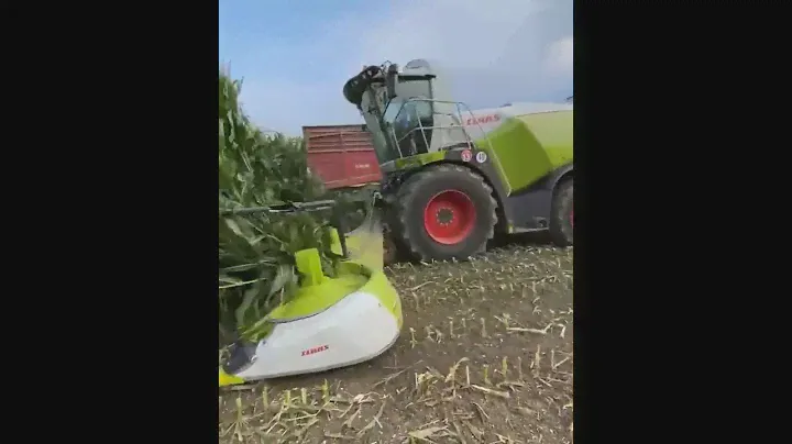 Устройство для быстрой уборки кукурузы
