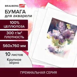 Бумага для акварели 300 г/м2 560x760 мм крупное зерно, 10 листов, BRAUBERG ART PREMIERE, 113239-4