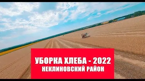 Уборка хлеба 2022. Комбайн НИВА СК-5 (4Квидео)