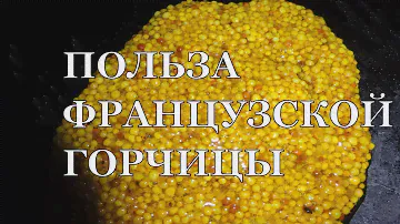 Французская горчица и вся ее польза