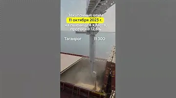 Закупочные цены 11.10.2023г. на пшеницу 4 класса (протеин ≥ 12,5%) в портах Азовского и Чёрного моря