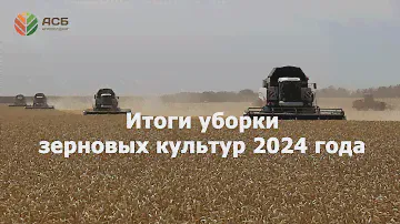 Итоги уборки зерновых культур 2024 года