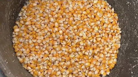 Лучший способ как быстро почистить кукурузу!