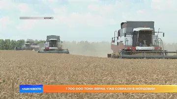 1 700 000 тонн зерна уже собрали в Мордовии