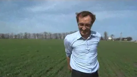 Сегодня в Анапе. Пшеничное поле 1 марта.