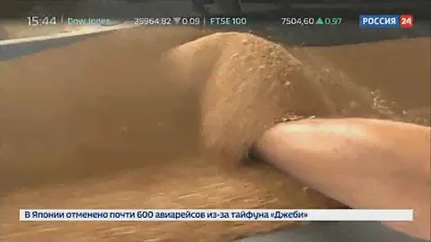 Влагомер зерна Фауна М на канале Россия 24