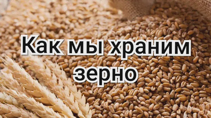 Бункер под зерно в небольших хозяйствах. Наш пример хранения зерна.