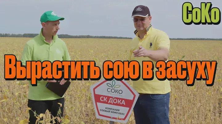 СоКо Как вырастить сою в засуху? Легко! Так сказал Селекционер СоКо