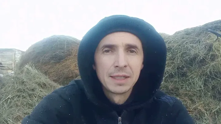 Сколько катушек сена надо на одну корову?