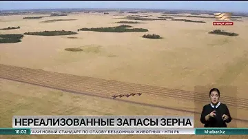 1,6 млн тонн нереализованного запаса зерна посчитали в Казахстана