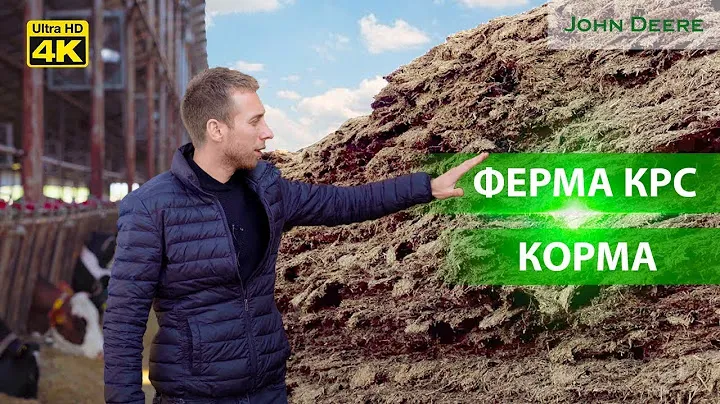 Ферма КРС. Заготовка качественного корма: какие ингредиенты в рационе коров? Часть 1