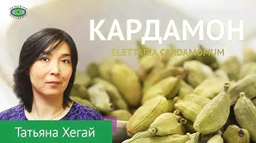 🌱Кардамон. Травничество. Татьяна Хегай