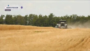 В Самарской области аграрии намолотили первые 100 тысяч тонн зерна
