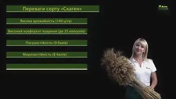 Торговый дом "Деметра-Агро". Пшеница "Скаген"