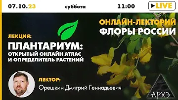 Лекция Дмитрия Орешкина "Плантариум: открытый онлайн атлас и определитель растений" (Флоры России)