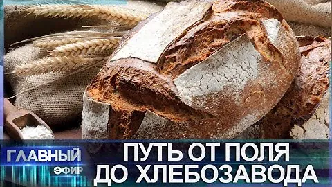 Путь хлеба: как его пекут, как проверяют зерно и какие ингредиенты нужны для идеального каравая?
