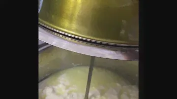 Сыр в процессе приготовления. Вымешивание сырного зерна.