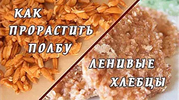 # Как прорастить ПОЛБУ/Ленивые хлебцы.