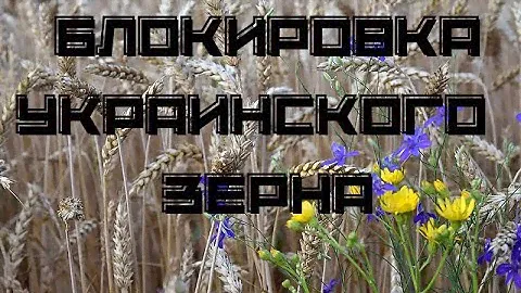 Блокировка украинского зерна в портах