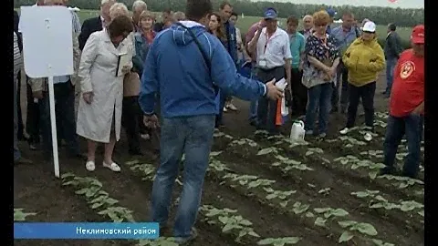 В Неклиновском районе на полях встал "Полевой город".