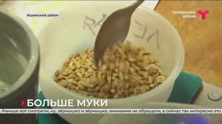В Ишимском районе открылось новое предприятие по переработке зерна