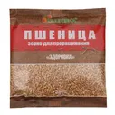 Пшеница(зерно для проращиивания)300г