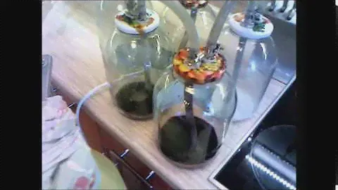 самогон из пшена с ферментами на сахаре