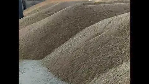 Продажа Пшеница 🌾 протеин 12,5% Оптом на экспорт из России 🇷🇺🇷🇺🇷🇺