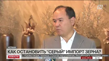Как остановить «серый» импорт зерна?
