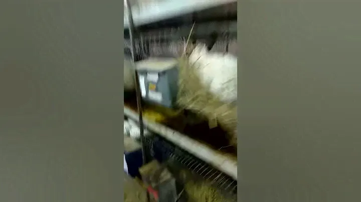 Хранилище для комбикорма