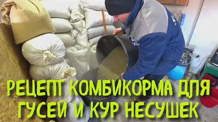 Готовим комбикорм для гусей и кур несушек//Рацион гусей в плем.период