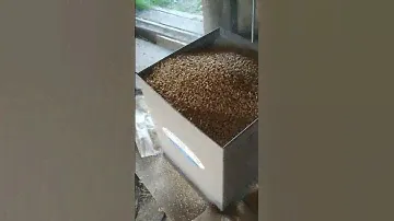 Измельчитель зерна бытовой ХРЮША 🐷