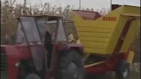 Уборка кукурузы на семена