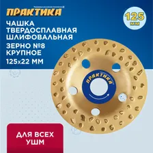 Чашка твердосплавная ПРАКТИКА 125 х 22 мм плоская, зерно # 8 крупное