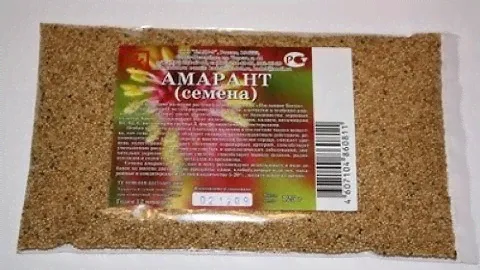 Проращивание амаранта
