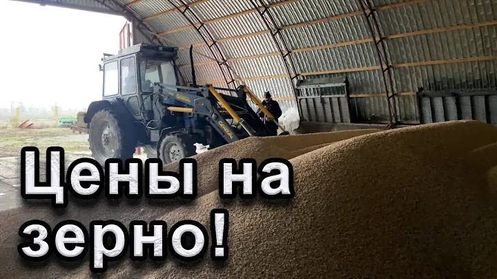 Сдаем горох со склада! Цены на зерно!