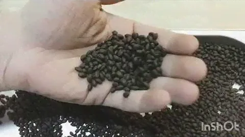 Безоболочковый пережаренный ячмень Dingemans Pealed Roasted Barley MD