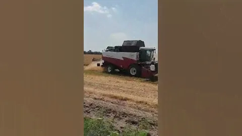 Жатва на Ставрополье приближается к экватору