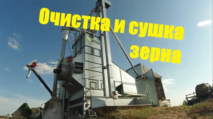 Очистка и сушка зерна / Озимая пшеница