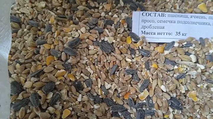 Зерно смесь для кур несушек