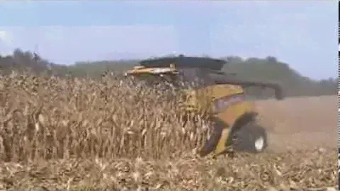 New Holland CR8090 Уборка кукурузы на зерно.