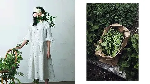 За ними легко ухаживать! 4 специи, которые стоит выращивать прямо в квартире