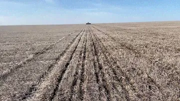 13.02.2022 Посев кориандра! No-till !!!