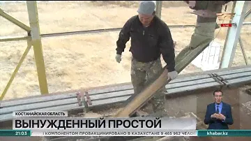 Мукомолы Казахстана столкнулись с крайне низким предложением зерна на внутреннем рынке