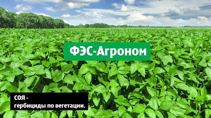 Соя - гербициды по вегетации