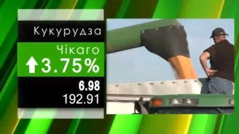 Зерном страхуются от слабой гривны