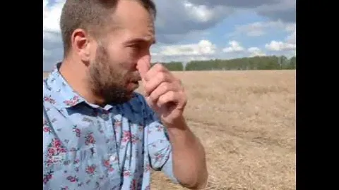 ячмень 🌾🌾🌾 нижегородская область Богородский район
