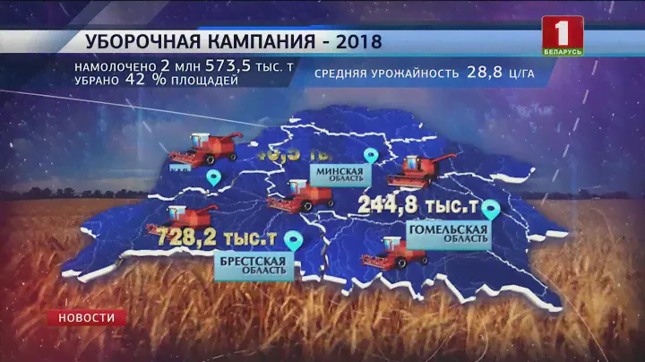 В Беларуси убрано более 40 % зерна нового урожая